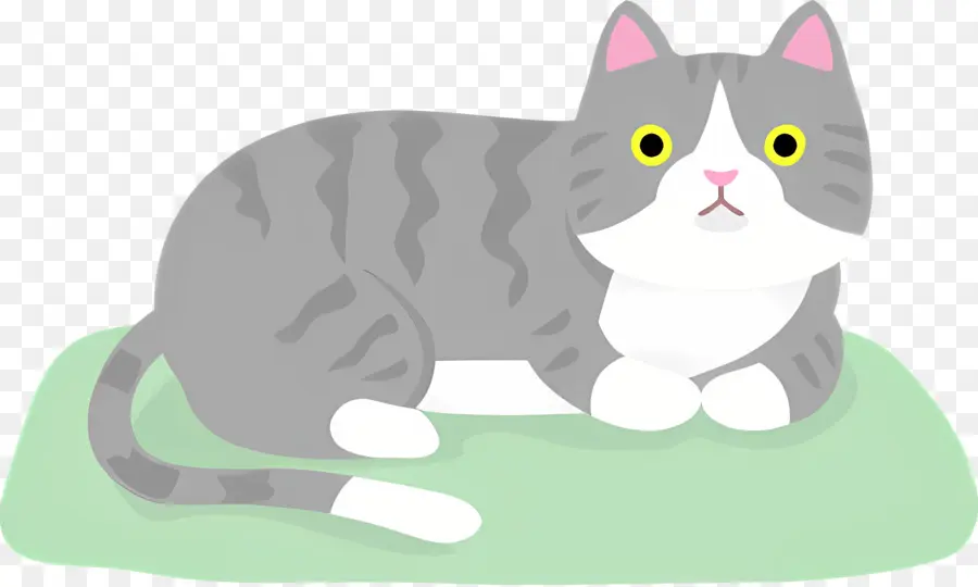 Gato Dos Desenhos Animados，Gato Cinza E Branco PNG