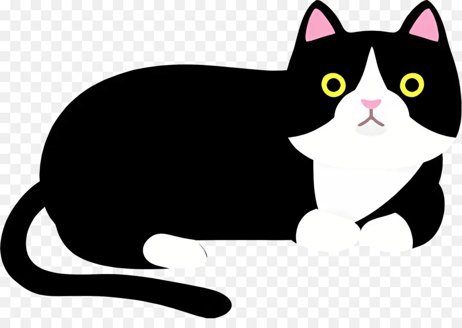 Gato Dos Desenhos Animados，Gato PNG