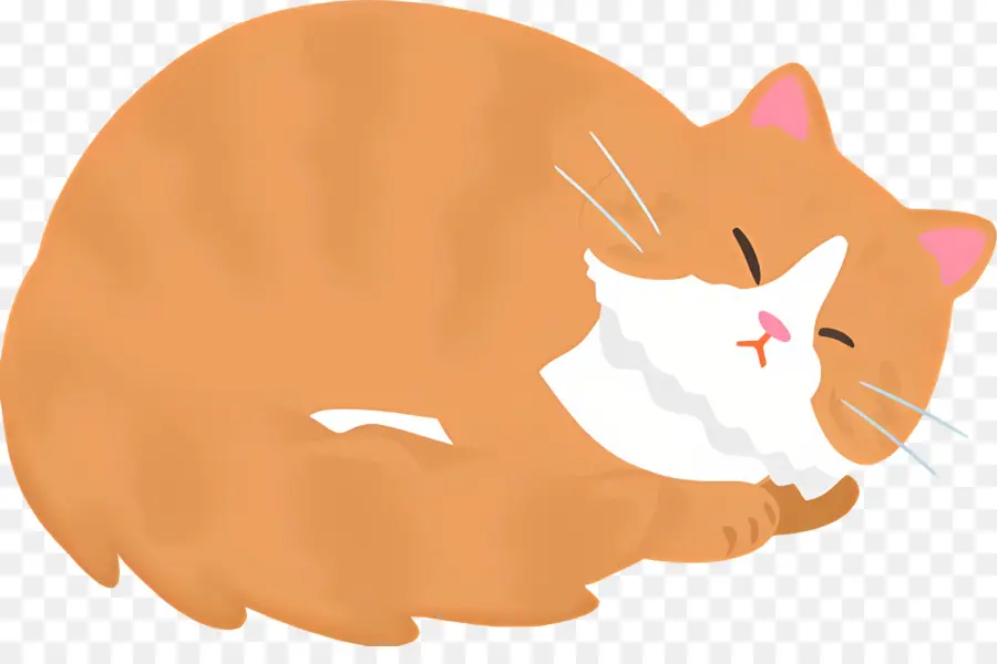 Gato Dos Desenhos Animados，Gato PNG