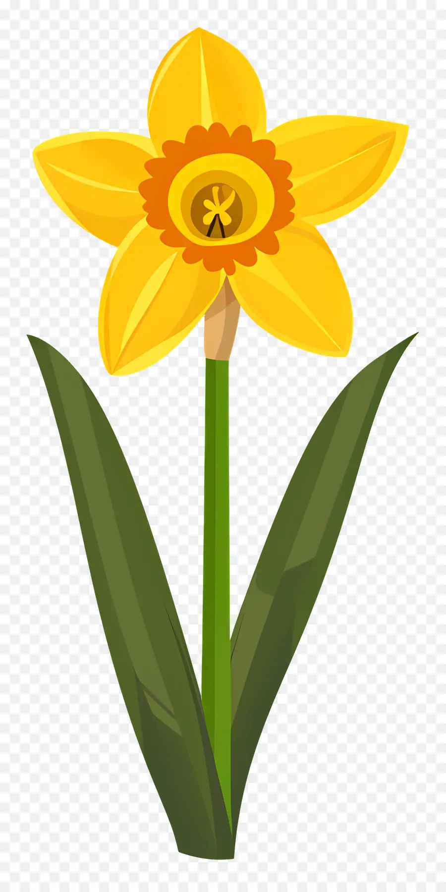 Flor De Daffodil，Narciso PNG