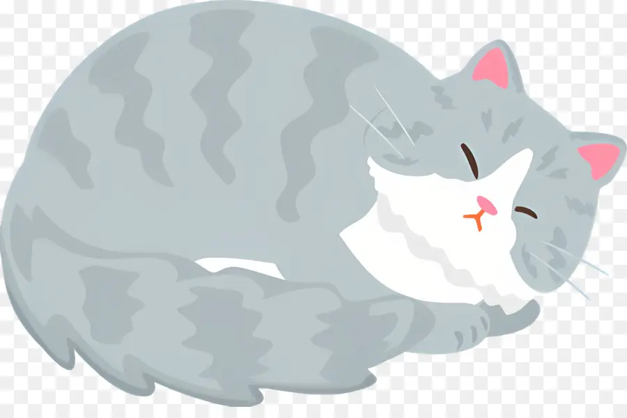 Gato Dos Desenhos Animados，Gato PNG