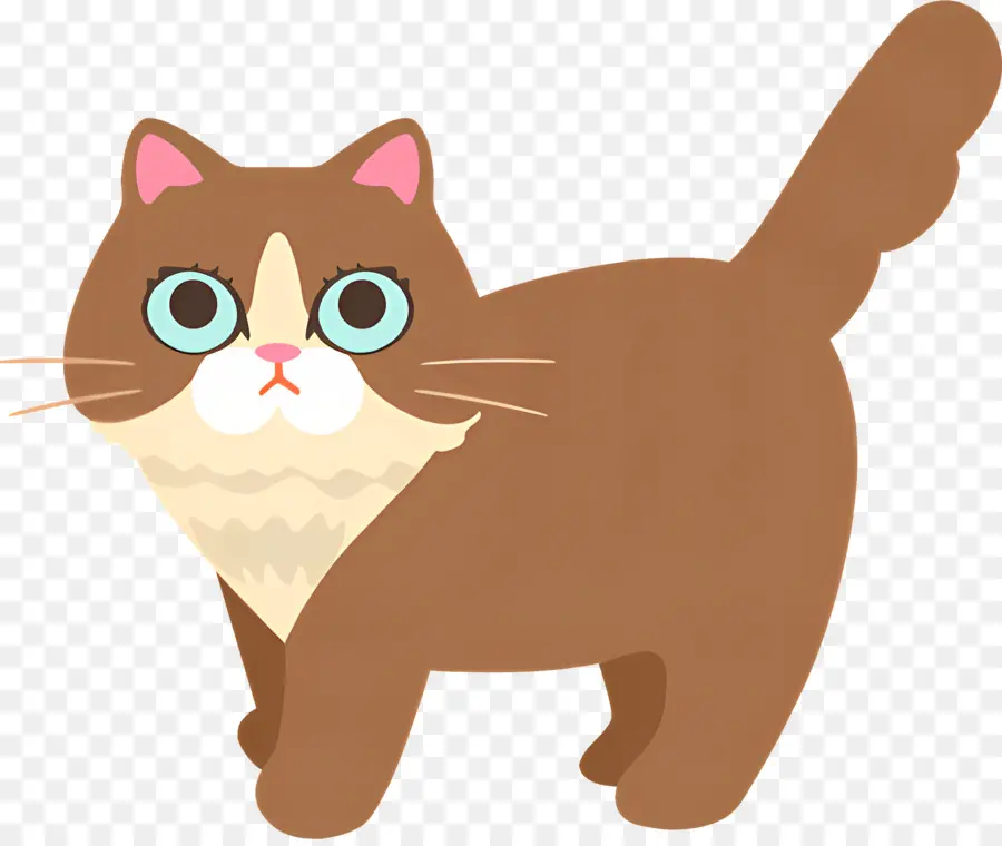 Gato Dos Desenhos Animados，Olhos Grandes PNG