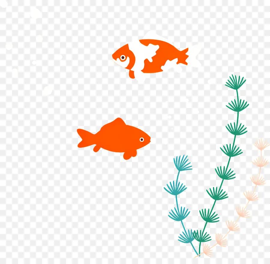 Peixinho，Peixe PNG