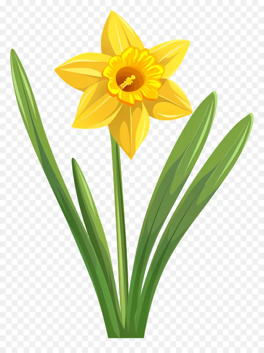 Flor De Daffodil，Flor Amarela PNG