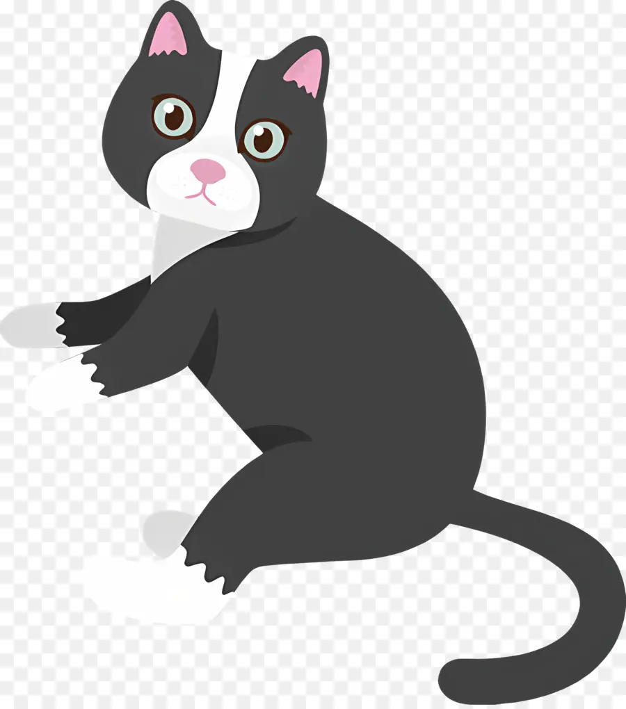 Gato Dos Desenhos Animados，Gato Preto E Branco PNG