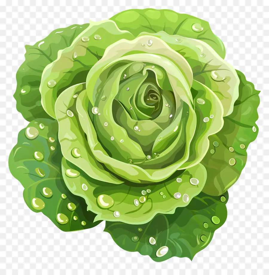 Rosa Verde，Vegetais Folhosos PNG