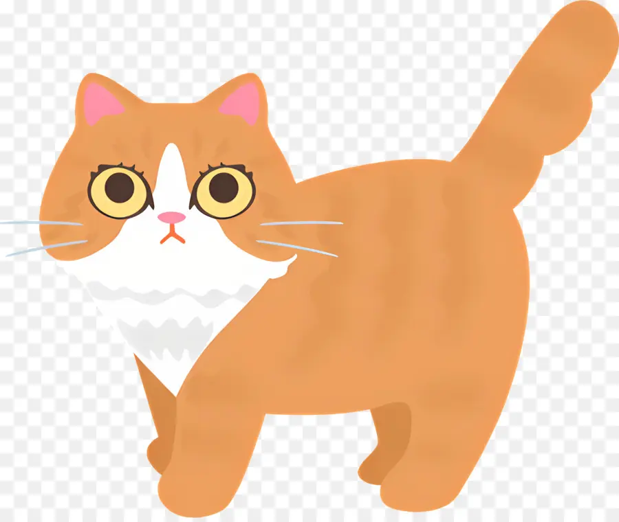 Gato Dos Desenhos Animados，Surpreso Expressão PNG