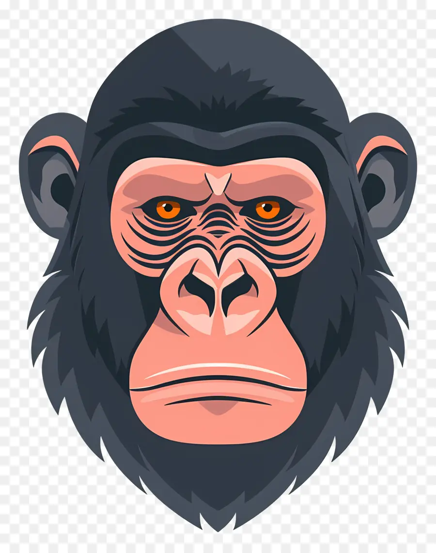 Rosto De Gorila Fofo，Angry Monkey PNG