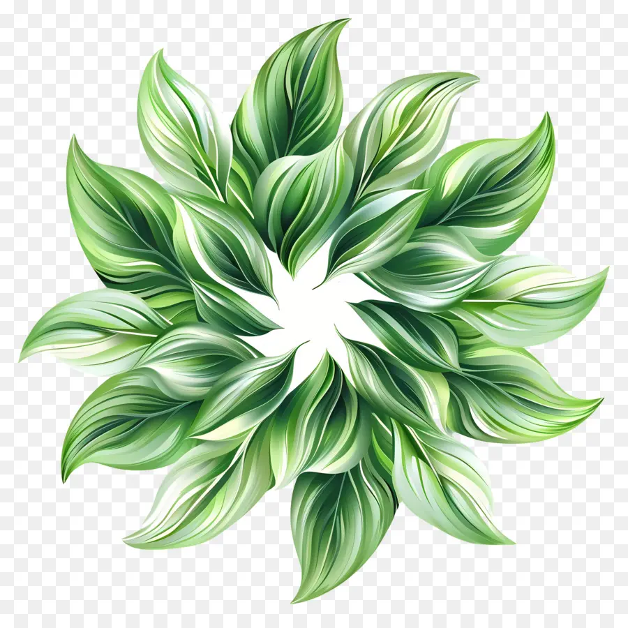 Folhas Verdes Girando，Planta De Folhas Verdes PNG