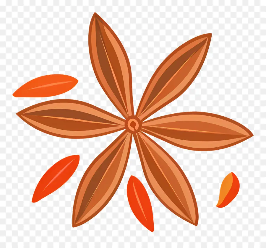 Anis Estrelado，Brown Flor PNG