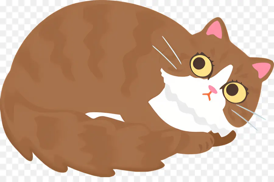 Gato Dos Desenhos Animados，Gato Listrado PNG