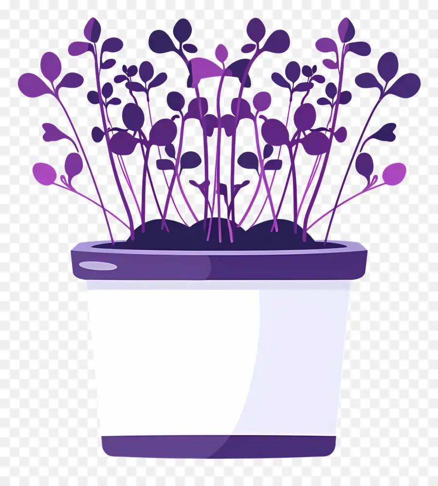 Pote De Microgreens，Pote De Cerâmica Branca PNG