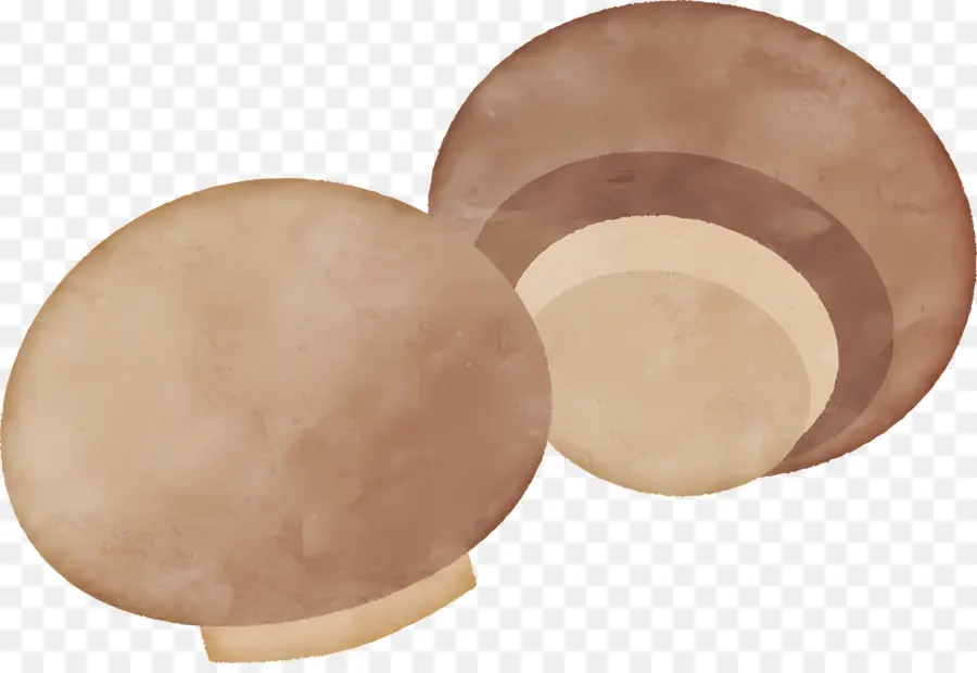 Cogumelo，Brown Cogumelos PNG