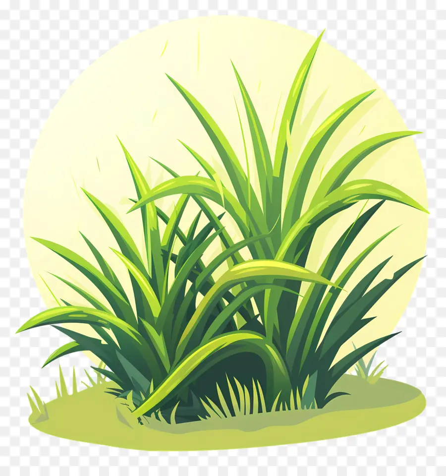 Patch De Grama，Plantas Verdes PNG