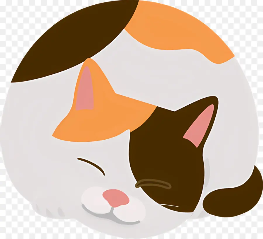 Gato Dos Desenhos Animados，Casaco Laranja E Branco PNG