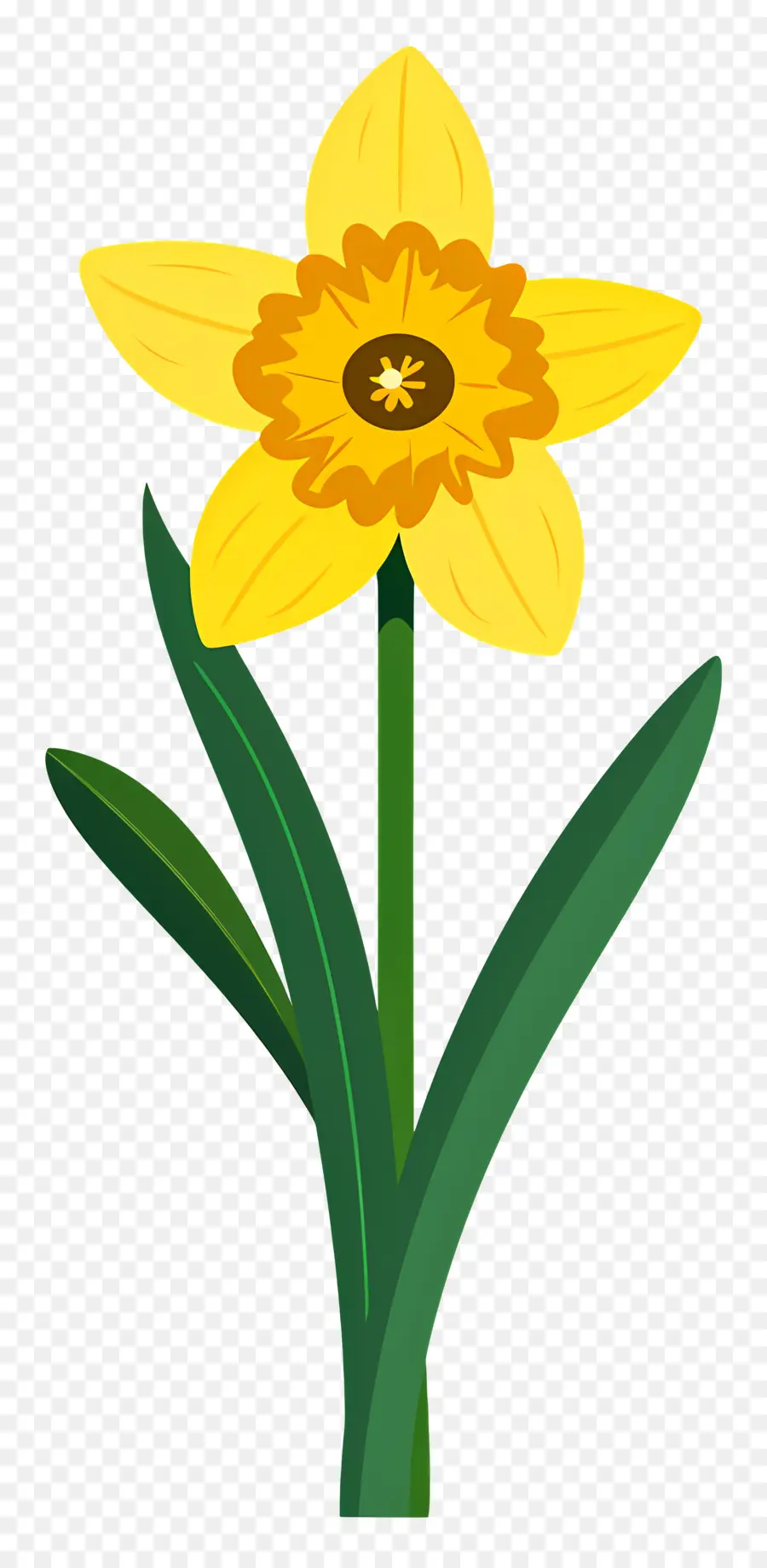 Flor De Daffodil，Daffodil Amarelo PNG