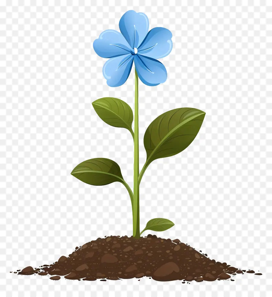 Flor Azul，Soil PNG