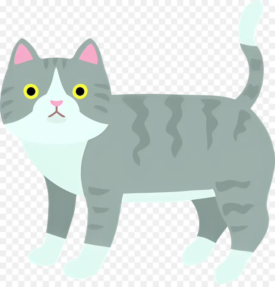 Gato Dos Desenhos Animados，Gato Cinza E Branco PNG