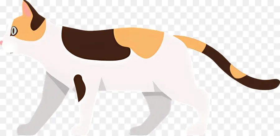 Gato Dos Desenhos Animados，Gato PNG