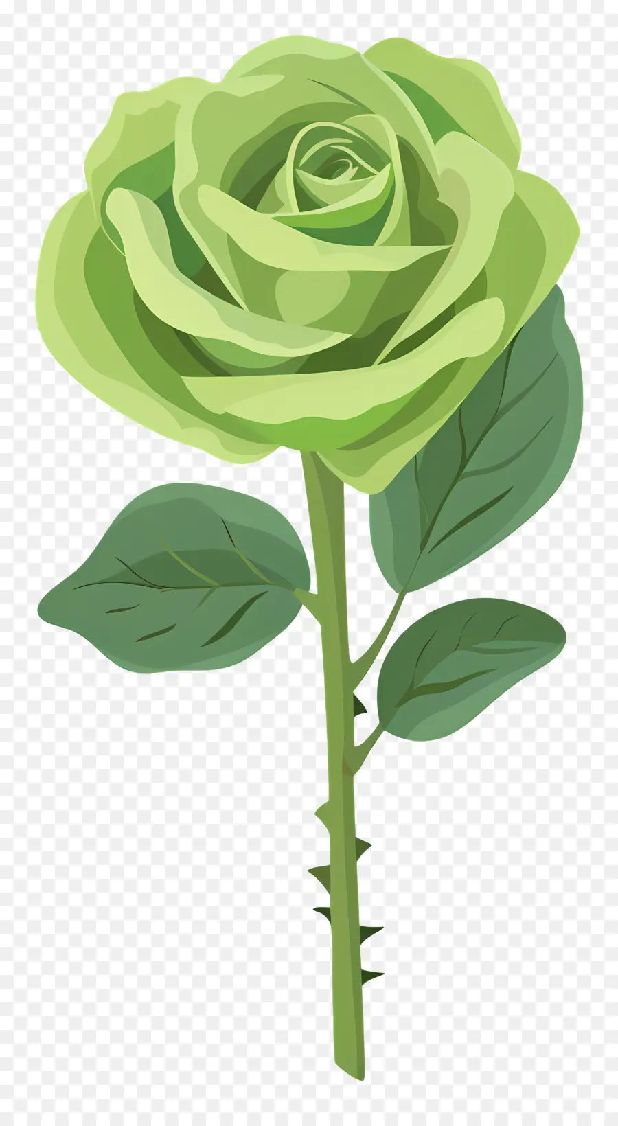 Rosa Verde，Rosa PNG