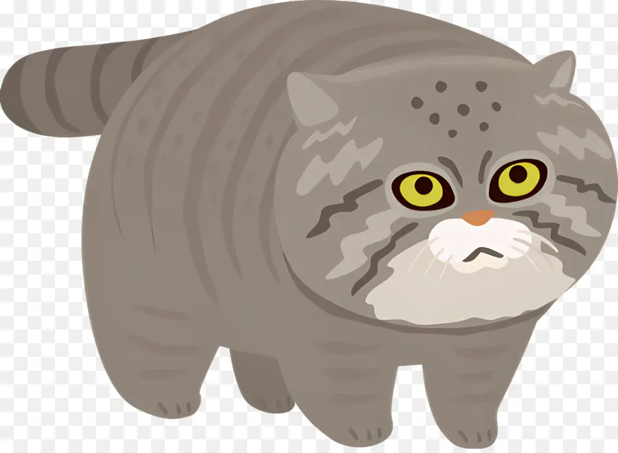 Gato Dos Desenhos Animados，Gray Cat PNG