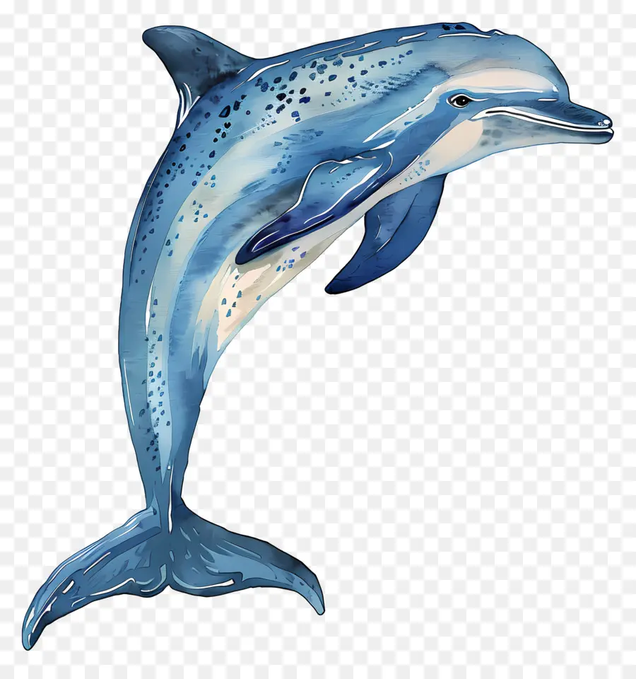 Dolphin，Dentes PNG