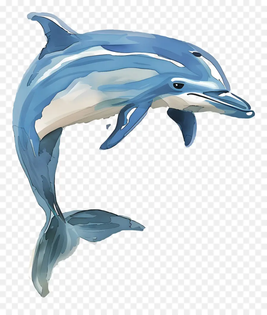 Dolphin，Pintura Em Aquarela PNG