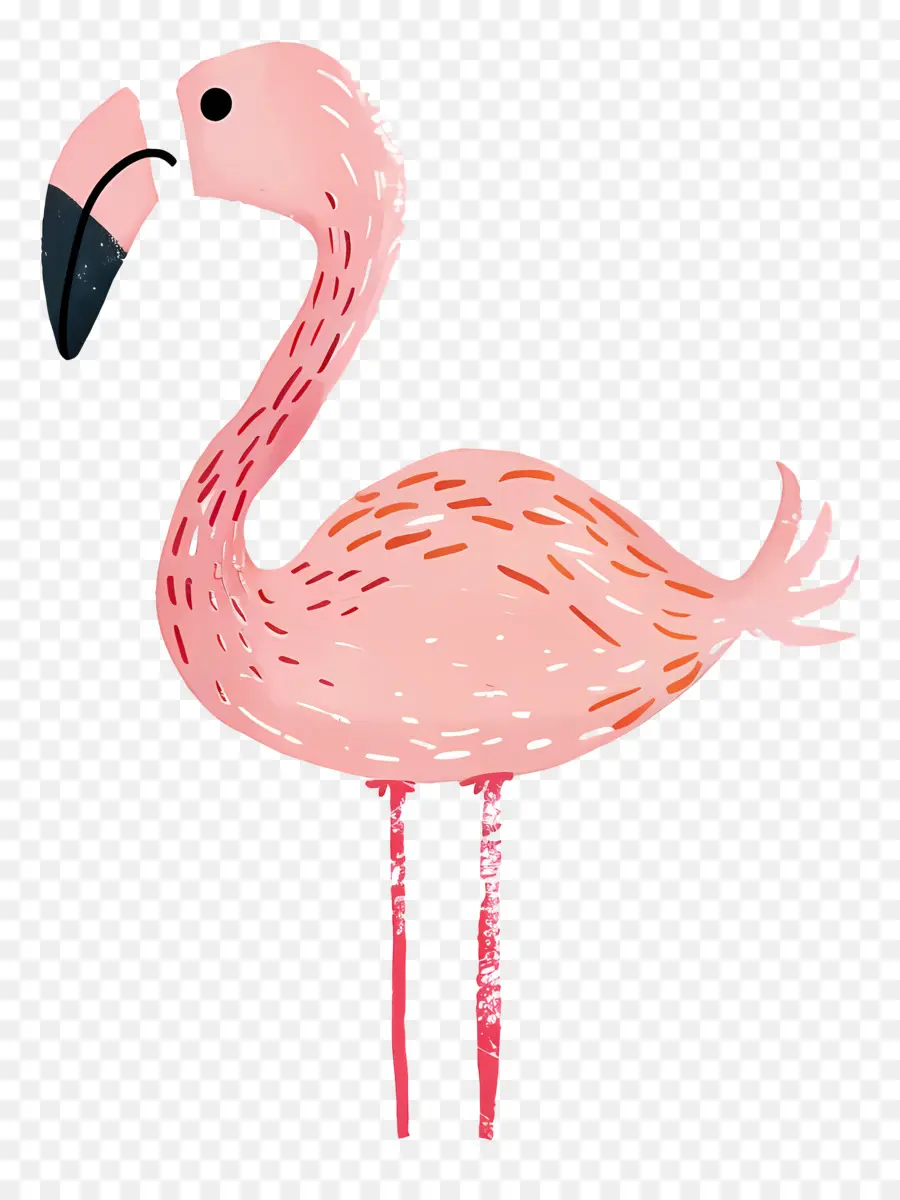 Flamingo，Cor De Rosa Flamingo PNG