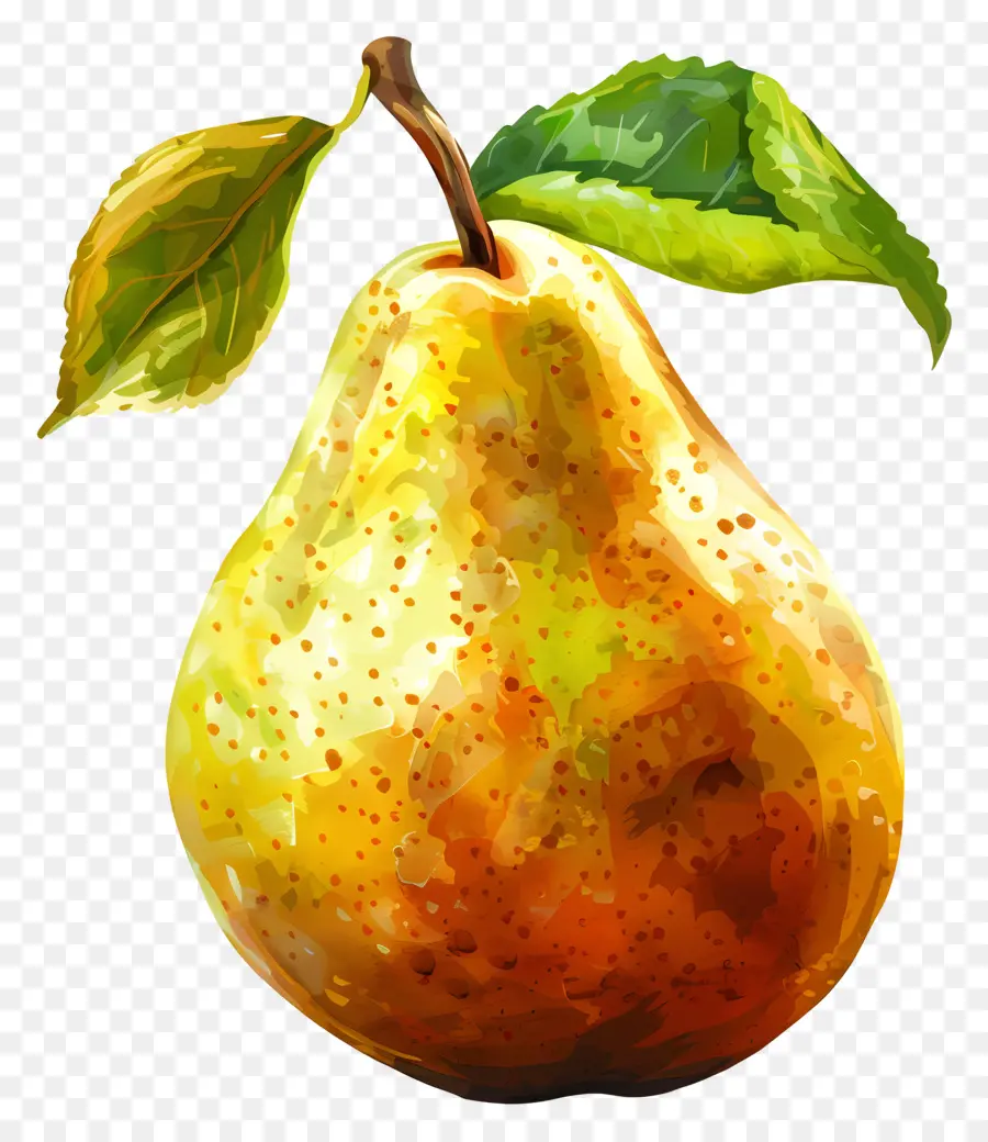 Pêra，Pear Maduro PNG