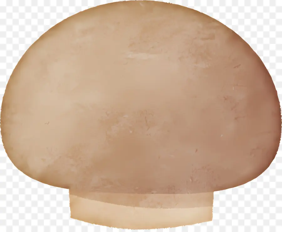 Cogumelo，Esfera PNG