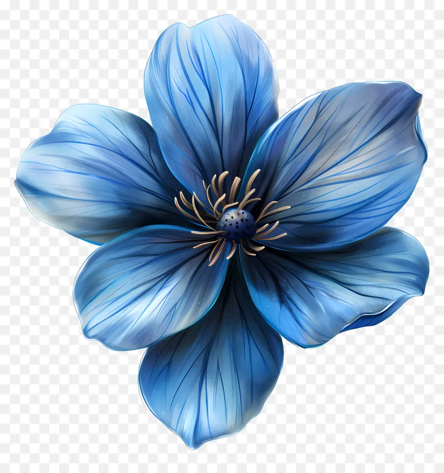 Flor Azul，Flores Reais PNG