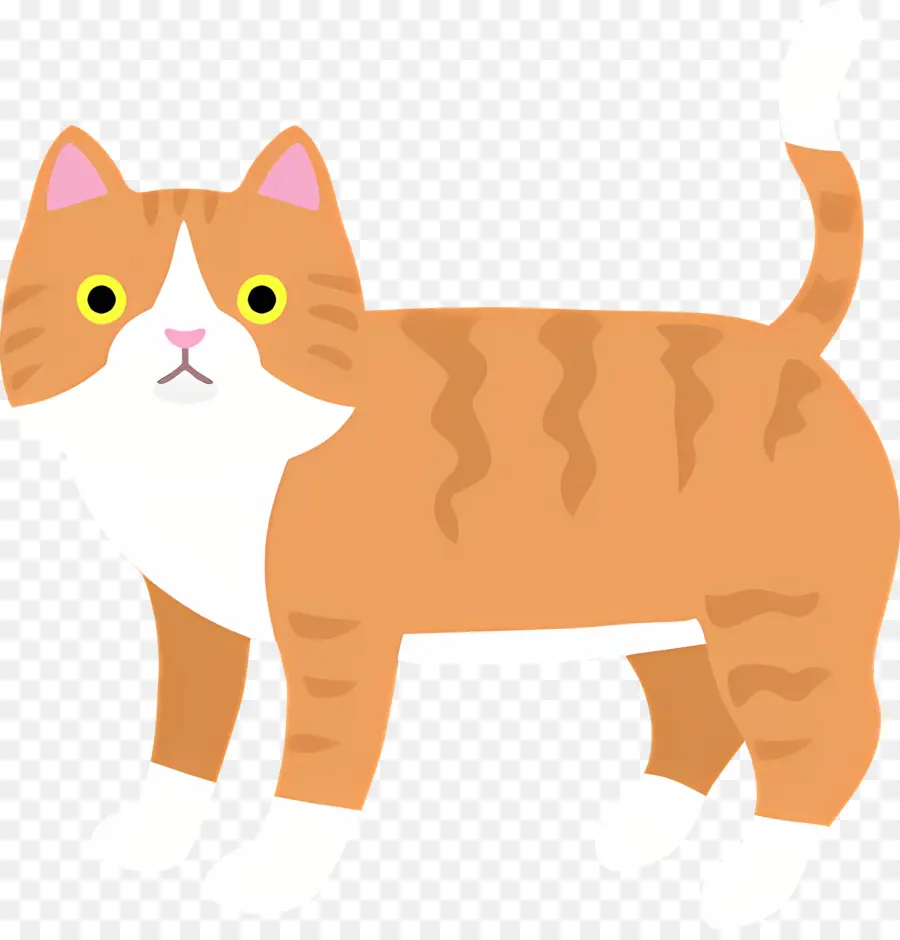 Gato Dos Desenhos Animados，Gato PNG