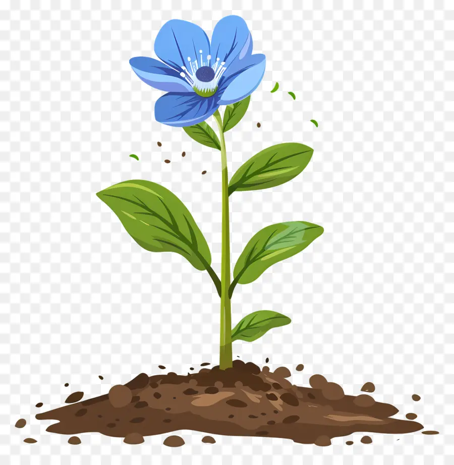 Flor Azul，Soil PNG