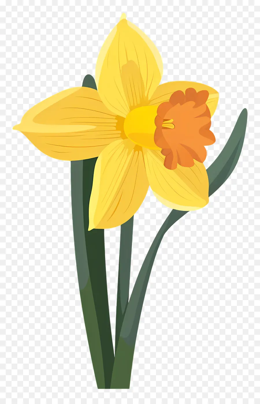 Flor De Daffodil，Narciso PNG