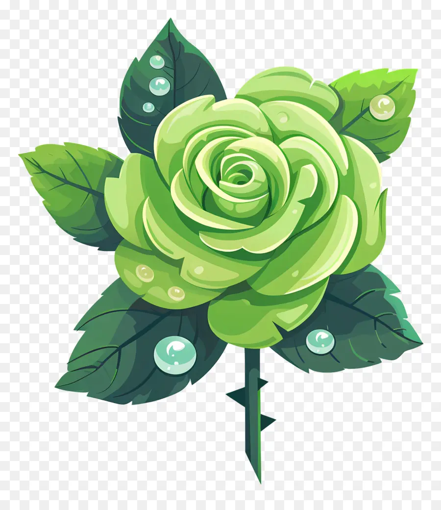 Rosa Verde，As Gotas De água PNG