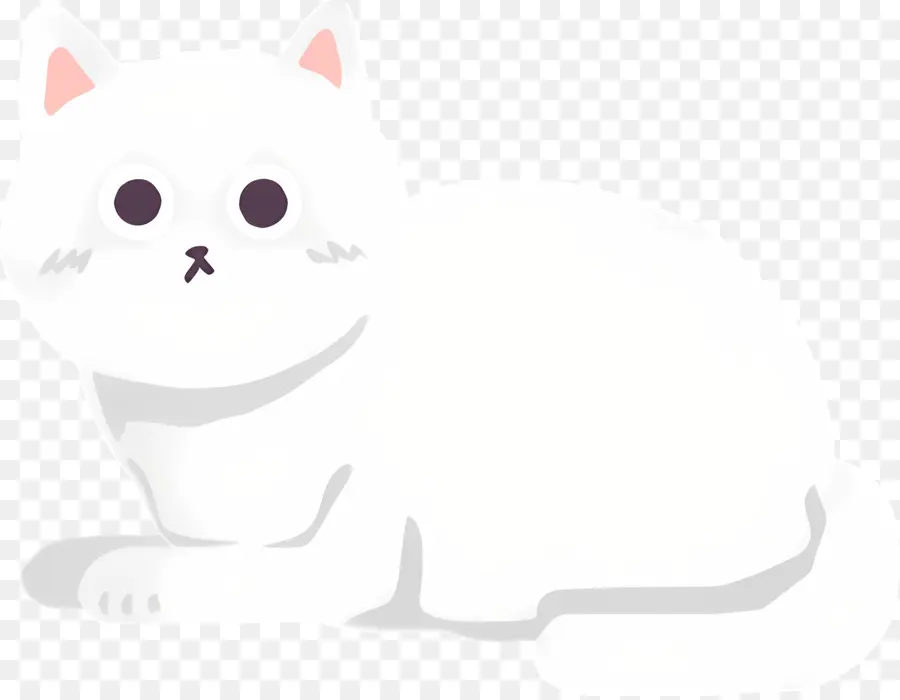 Gato Dos Desenhos Animados，Gato Branco PNG