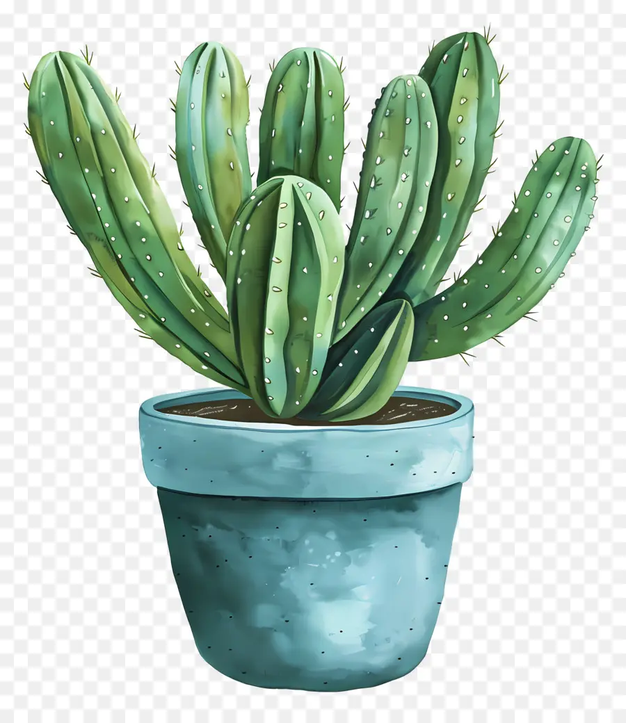 Cacto Suculento，Cactus PNG