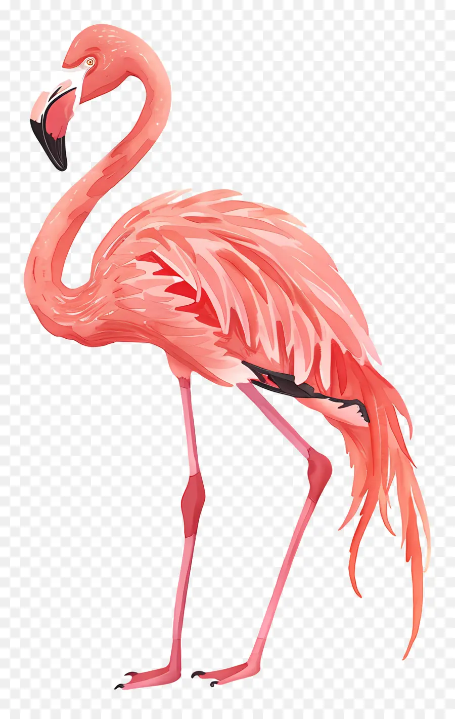 Flamingo，Cor De Rosa Flamingo PNG