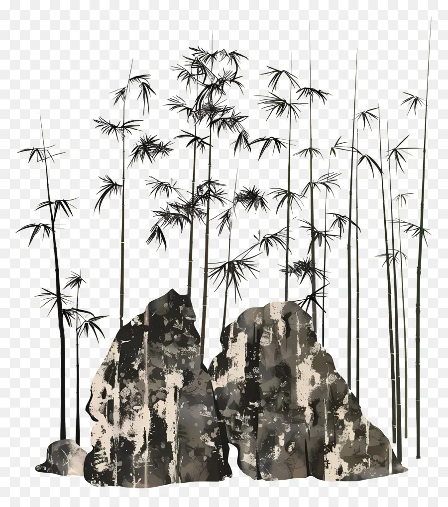 Bambu，Bambu E Pedras PNG