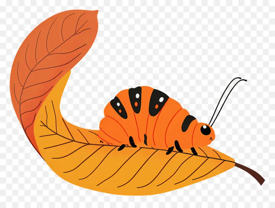 Caterpillar，Folha PNG