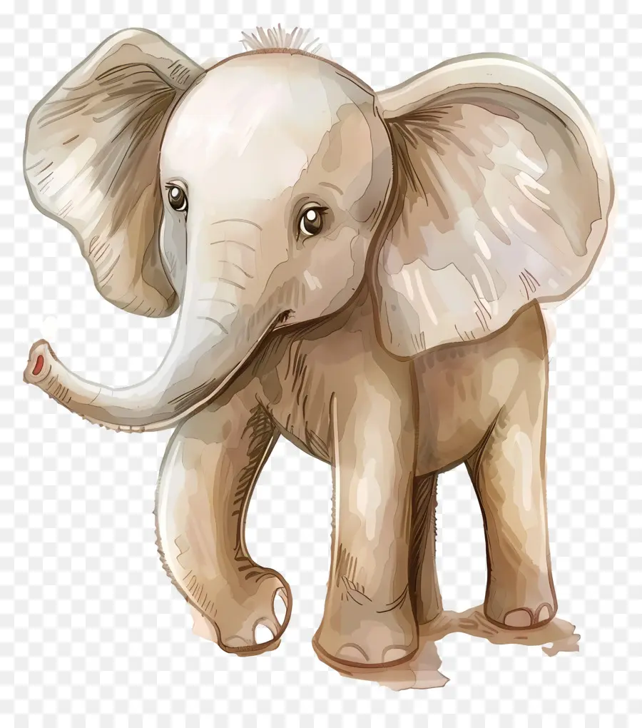 Elefante，Elefante Fofo PNG