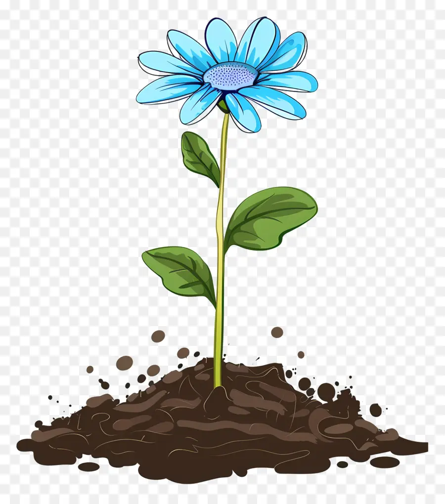 Flor Azul，Soil PNG