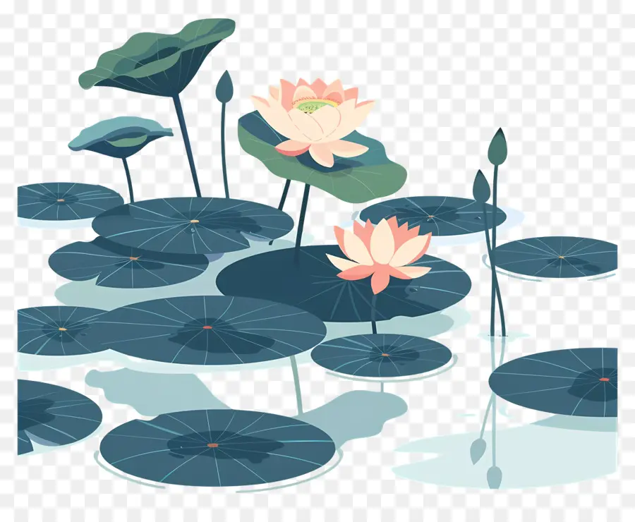 Lotus Pond，Flores De Lótus PNG