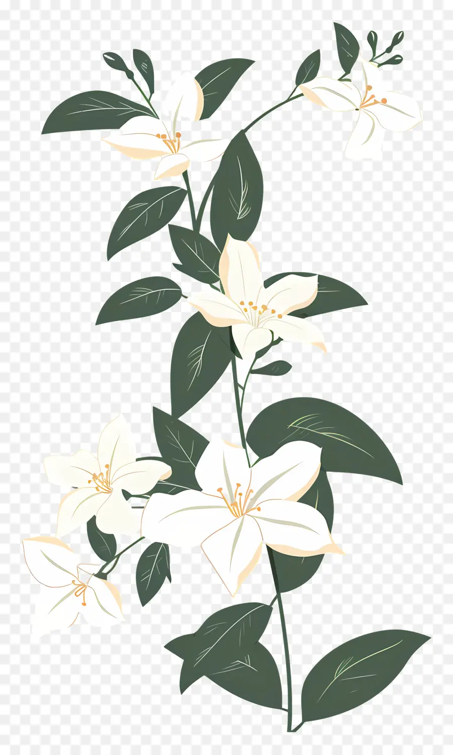 Jasmine Garland，Flores De Jasmim Branco PNG