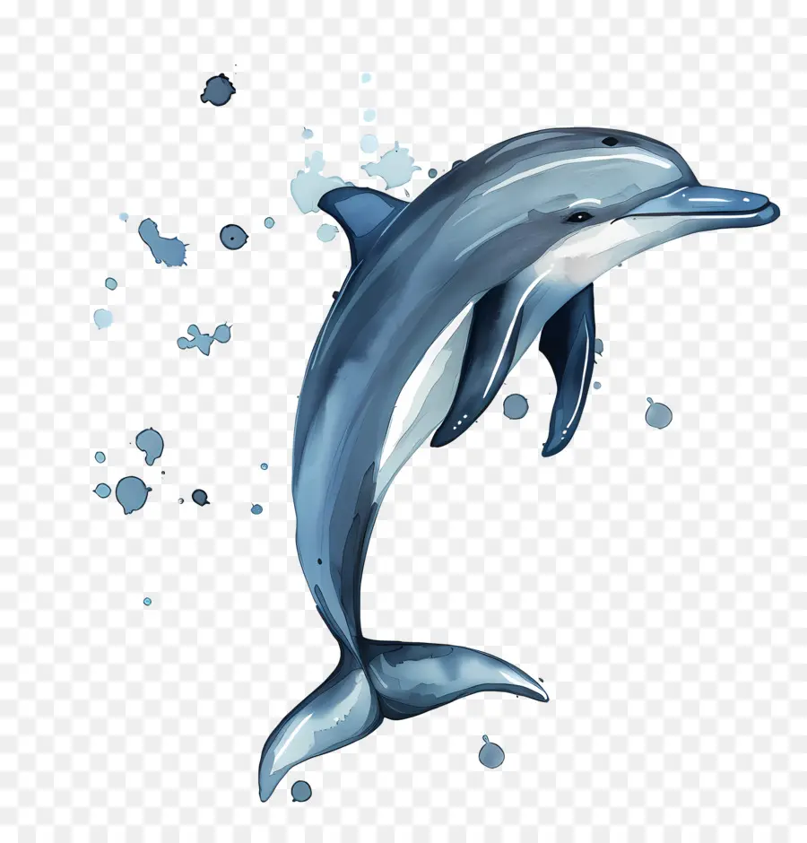 Dolphin，Golfinho Azul PNG