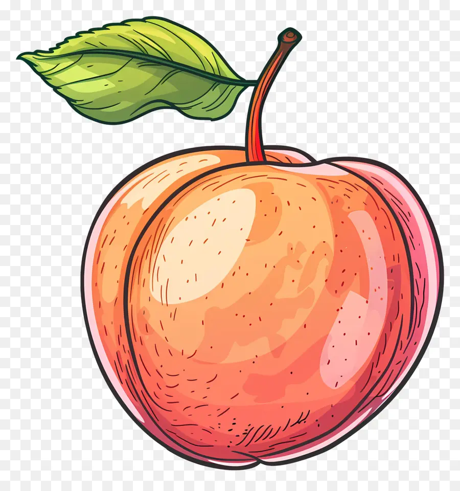 Nectarina，Apple PNG