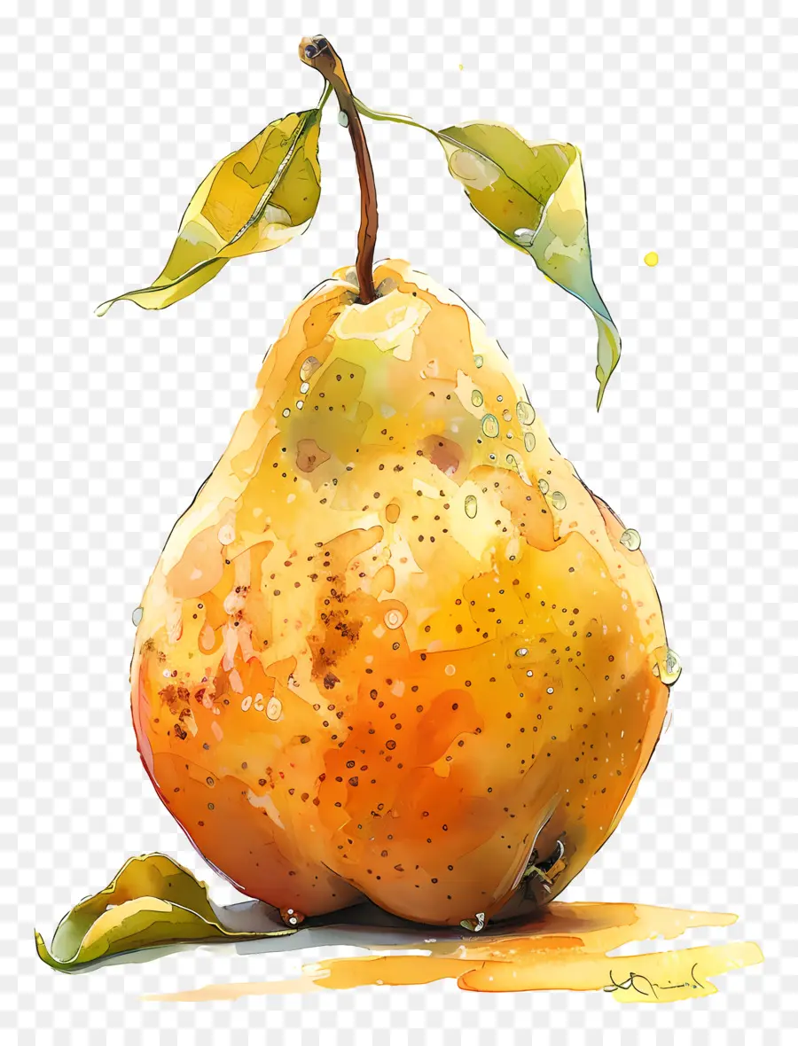 Pêra，Pintura Em Aquarela PNG