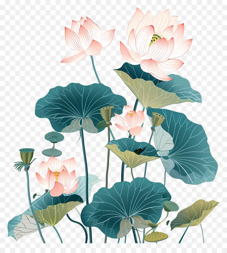 Flores De Lótus，Pintura Chinesa PNG