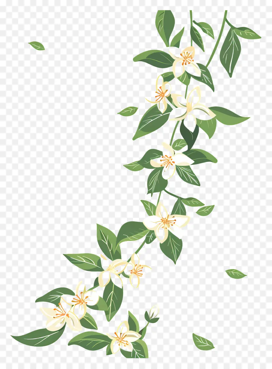 Jasmine Garland，Flores Brancas PNG