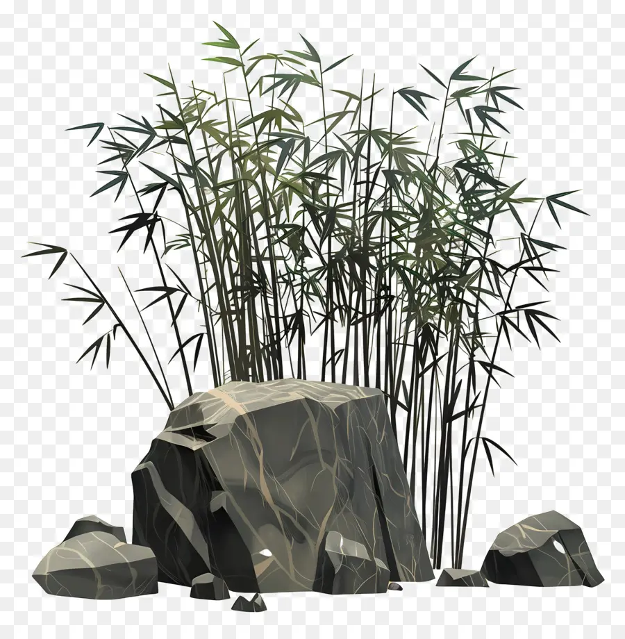 Bambu，árvores De Bambu PNG